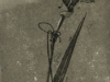 zq33