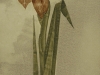 ze24