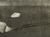 pp13