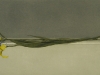 vv19