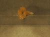 zh27
